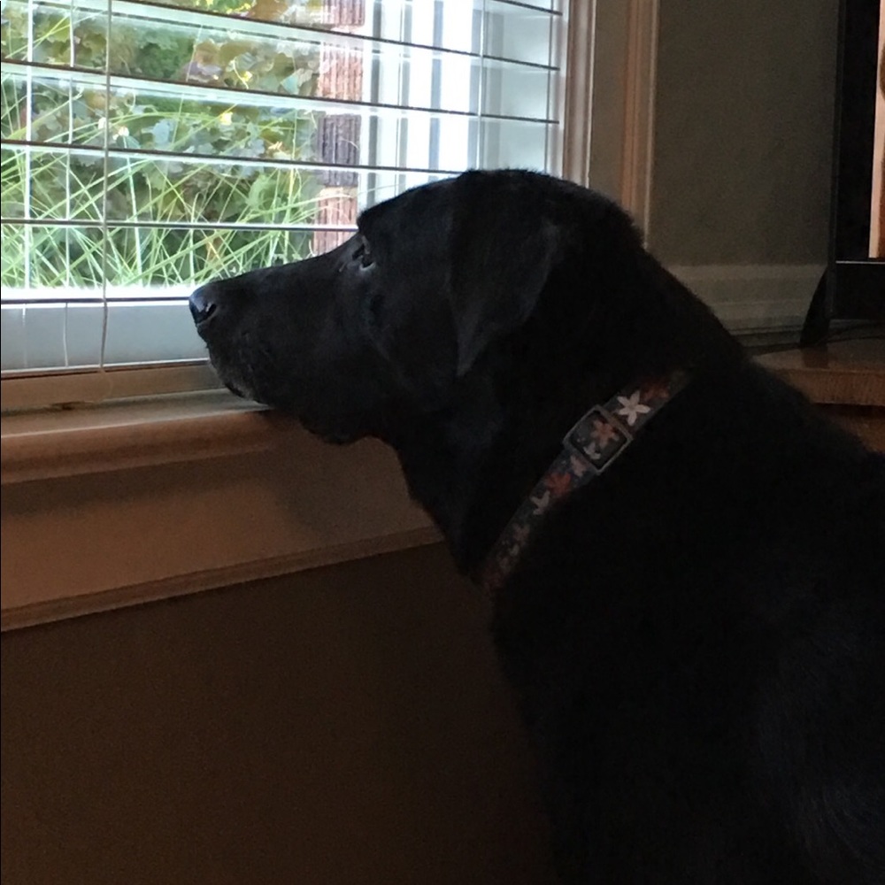 Meet your Posher, Kate